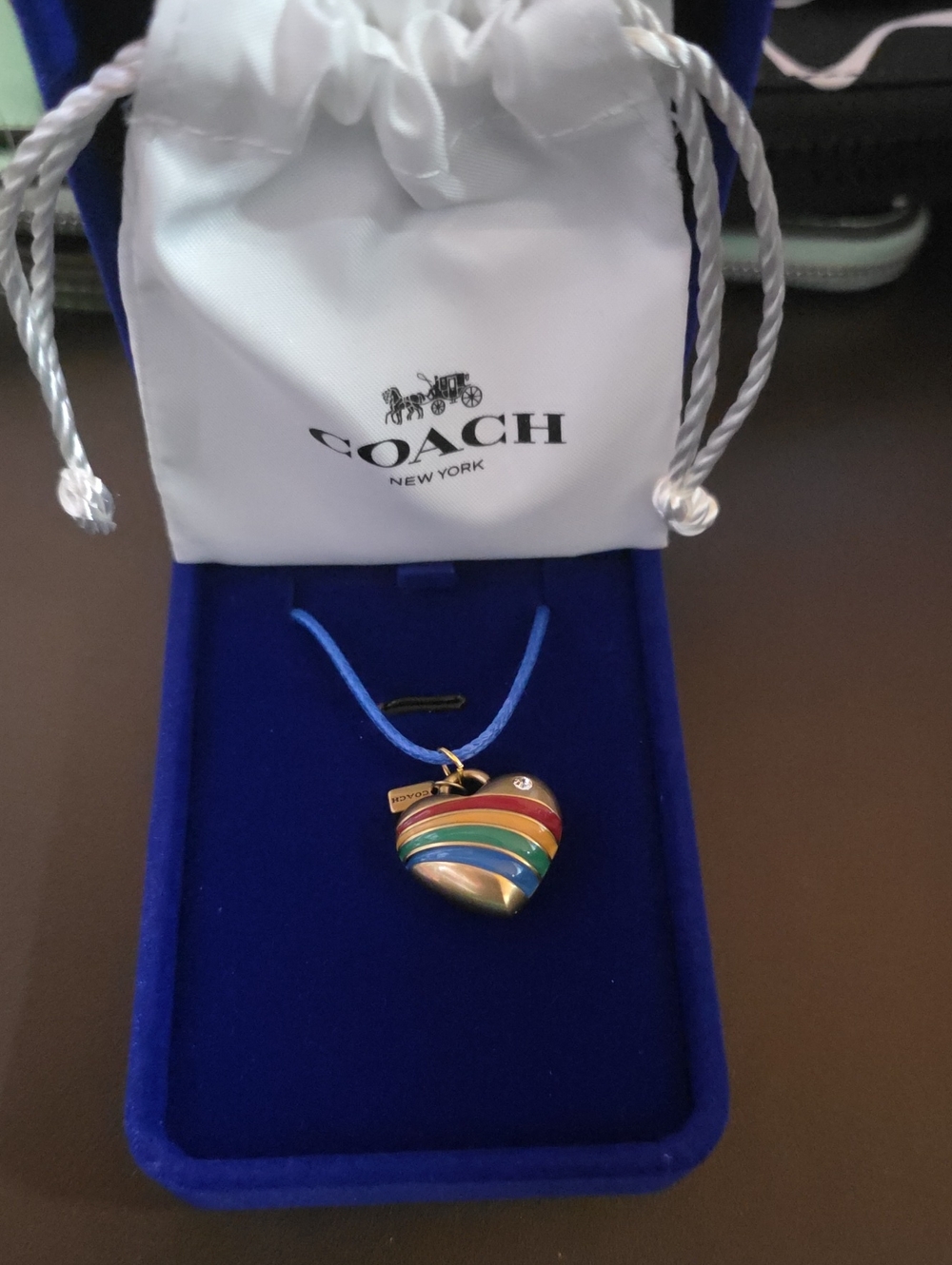 Coach Nwt Rainbow Heart Charm W/ Unbranded Wax Leather Cord Necklace - Picture 4 of 5